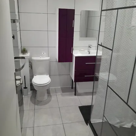 L'a N N E X E De Vic Le Comte *