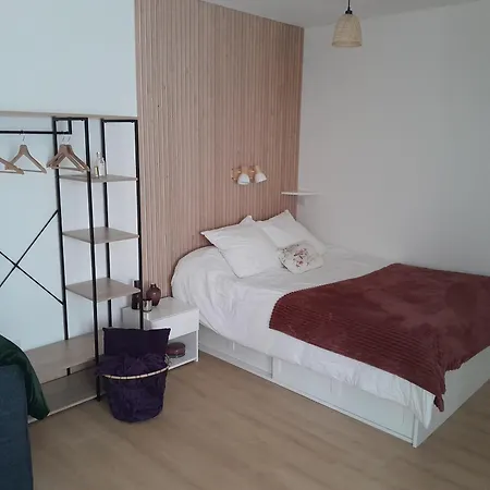L'a N N E X E De Vic Le Comte Apartment