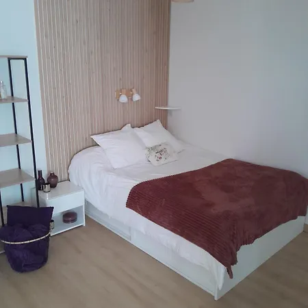 L'a N N E X E De Vic Le Comte Vic-le-Comte